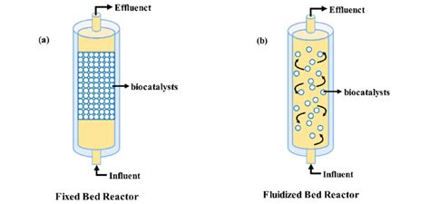 packed bet reactor fixed bed reactor